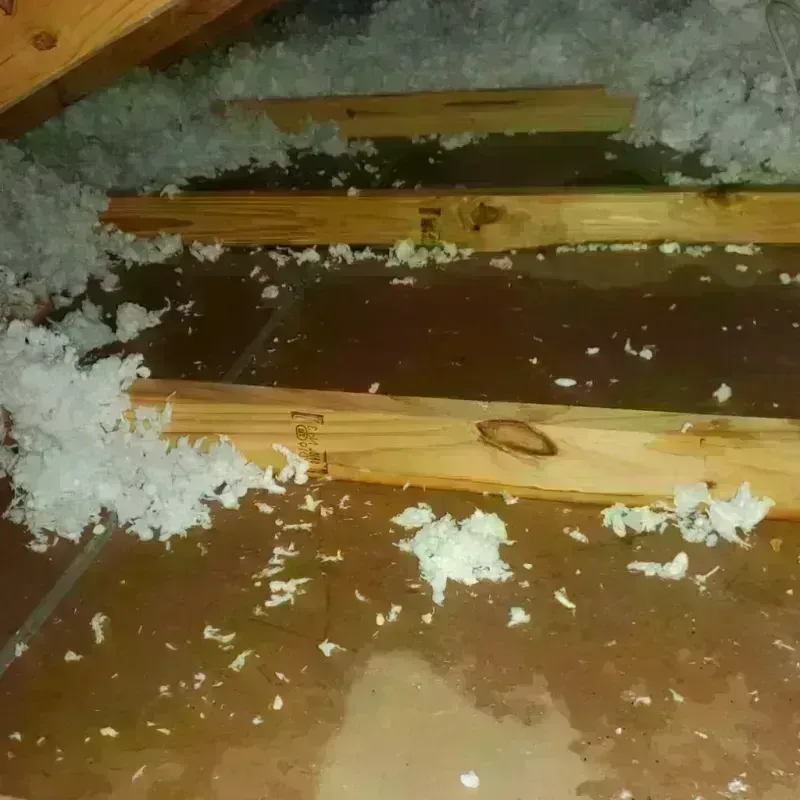 Attic Water Damage in Mountain View, MO