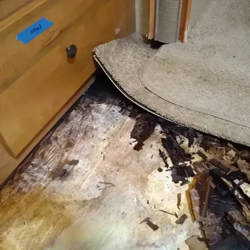 Wood Floor Water Damage in Mountain View, MO